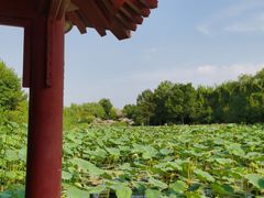 -云居湖