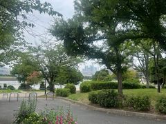 -台场海滨公园船码头