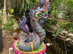 -呀路古热带植物园