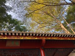 -顺峰山公园