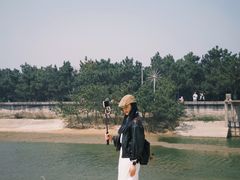 -日照海滨国家森林公园