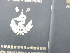 -申普宠物医院·心脏介入·心血管微创(总院)