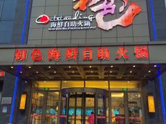 -初色海鲜自助(万丰路店)