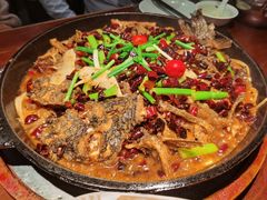 老板恋上鱼-老板恋上鱼(高新万达店)