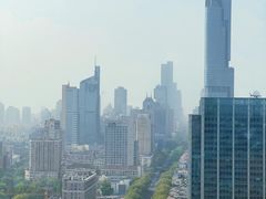 -湖景知味西餐厅•自助餐• 轻食(南京金茂威斯汀大酒店)