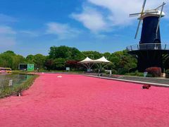 -上海鲜花港