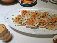 -鸽小宝(深圳首店)