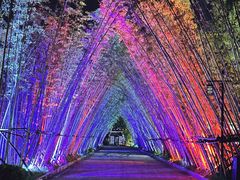 -婺源梦里老家大型山水实景演出