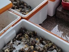-蚝哥花姐湛江烤生蚝(美丽湾市场店)