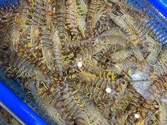 -海味当家·蒸锅海鲜(星海公园店)