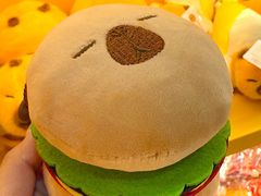 -国家会议中心大酒店