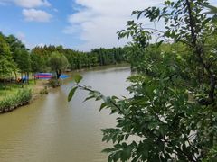 -上海长兴岛郊野公园