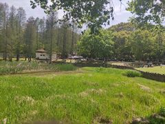 -青龙山国家森林公园
