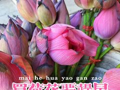-机神农贸市场(东茂苑店)