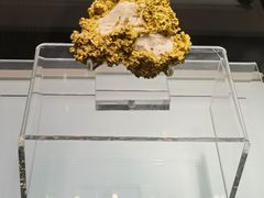 -安徽省地质博物馆