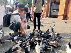 -大象粑粑造纸公园
