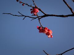 -无锡梅园公园