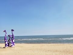 -南戴河国际娱乐中心