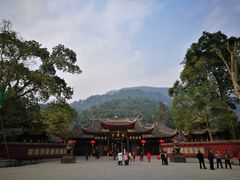 -幸福树餐厅