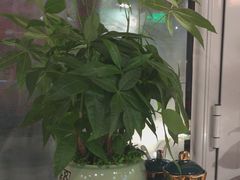 -伊斯麦尔丝路·新派菜(沙子口店)