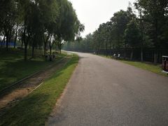 -永定河休闲森林公园