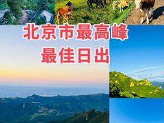 -灵山