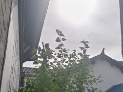 -璞真扎染博物馆