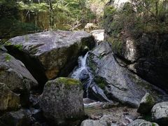 -牛背梁国家森林公园
