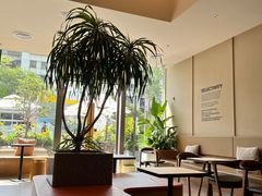 -Peet's Coffee皮爷咖啡(海雅缤纷城店)