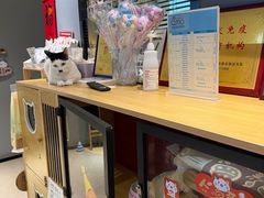 -御宝贝·A梦猫科宠物医院(国际猫友好医院)