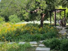 -国家植物园南园