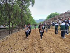 -大余丫山旅游度假区