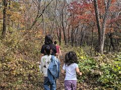 -玉渡山自然风景区