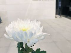 -侵华日军南京大屠杀遇难同胞纪念馆
