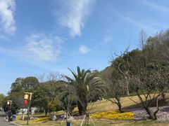 -东钱湖小普陀景区