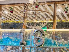 -天空花园餐吧·生日·团建(南山店)