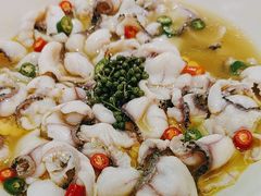 -青花椒花椒鱼(合生汇店)