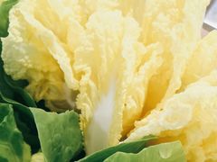 -探窝·竹笙椰子鸡(杨箕店)