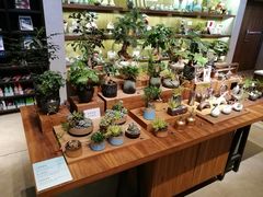 -方所(华润万象城店)