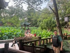 -房湖公园