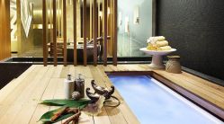-东英经典SKIN&SPA