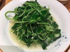 蒜蓉鸡毛菜-四季民福烤鸭店(前门廊房二条店)