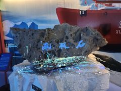 -海合安青岛极地海洋公园