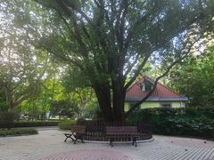 -徐家汇源景区-衡山公园