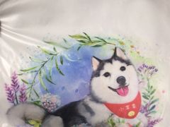 -Husky Go! 哈士奇体验馆·宠物咖啡厅狗咖
