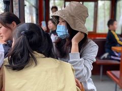 -合肥滨湖国家森林公园