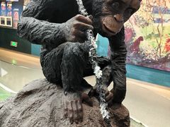 -国家自然博物馆