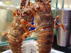 -亚马逊蒸汽活海鲜自助(LCM置汇旭辉广场店)