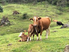 -硗碛藏寨·神木垒景区