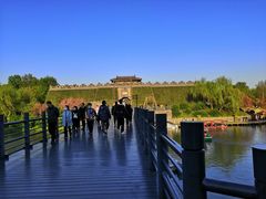 -东园小馆·早茶·淮扬小炒(宋夹城店)